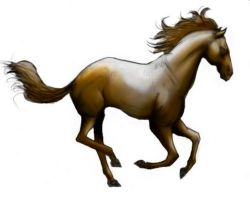 Cheval aub?re