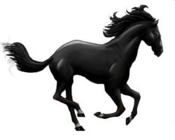 Cheval noir