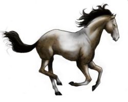 Cheval rouan